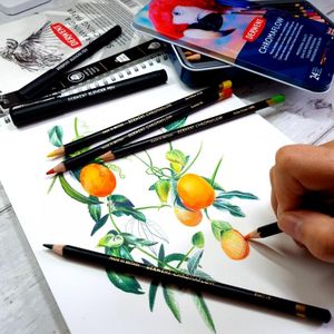 Derwent Chromaflow Colored Pencils Set, 24 Tin