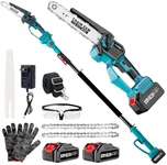 2-in-1 Cordless Pole Saw & 8'' Mini