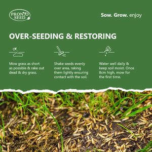 Pronto Seed Premium Grass Seed 1.4kg – Fast Growing, Hard-Wearing, Covers 84m²