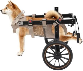 ROMYIX Dog