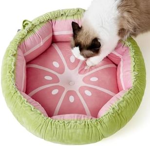 Lesure Cat