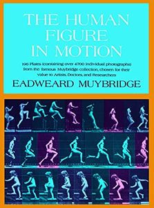 Human Figure in Motion