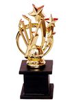 TROPHYwala Golden Cricket Award Winner Trophy for Cricketer 22cm,Wood