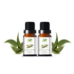 Farm Blends Eucalyptus Essential Oil 100% Undiluted Pure | Steam Inhalation, Cough Relief, Relaxes Muscle, Anti Dandruff, Diffuser | Farm To Home | Natural Nilgiri Oil | Eucalyptus globulus|10ML + 10ML (Pack of 2)