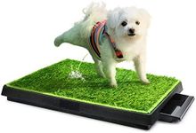 Hompet Dog Toilet Indoor Puppy Training Pad, Potty Pet Grass Mat, Removable Waste Tray For Easier Clean Up, Non-toxic Artificial Turf, 63cm x 51cm Black, Green