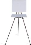 MEEDEN Plein Air Easel for Painting