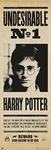 Grupo Erik Editores Harry Potter Undesirable Nº1 - Door Poster