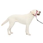 PetSafe Gentle Leader Head Collar with Training DVD, Large 60-130 LBS, Raspberry Pink