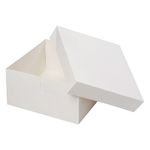 Tala 10 Inch Cake Box, Perfect for Transporting and Storing Cakes, Pastries and Desserts, 25.4 X 25.4 X 15cm, White