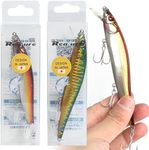 Realure 2/3 Pcs 110mm 14g Topwater Floating Lures with 3 Carbon Steel Hooks, Package, Bass Fishing Lure Pike Swimming Fishing Lure for Bass Trout Freshwater Saltwater Fishing Gift (C)