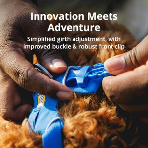RUFFWEAR Front Range Dog Harness XS – Adjustable, Comfortable Fit