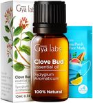 Gya Labs Clove Oil for Oral Care - Clove Essential Oil for Oral Care - Clove Oil Essential Oil - Clove Oil for Hair, Skin, Candle Making, Teeth, Gums - Earthy, Spicy Scent - 100% Natural (10ml)