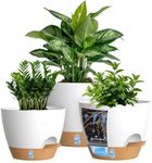 KUGAZ Self Watering Pots with Drainage Holes, 3 Pack 12/10/8 Inch Plant Pots with Water Level Indicator Deep Reservoir, Large Plastic Planter for Indoor Outdoor Plants - White Brown