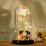 Blytheyes Galaxy Rose Gift for Women, Rainbow Forever Illuminated Glass Dome Rose Crystal Rose Led Light String Gift for Her Mom Wife Girlfriend, Anniversary Wedding Gift (Lover Wedding)