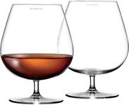 SYANKA Premium Classic Brandy Glasses Set of 6, 300 ML, Non-Lead Crystal Clear, Ideal for White or Red Wine Glasses