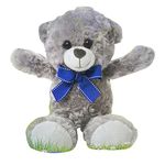 Build A Bear Friends Teddy Bears