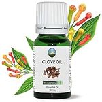 NPOW Clove Oil for Toothache Pain Relief, Cloves Oil - Oil of Cloves for Toothache, Clove Essential Oil, Tooth Pain Relief, Clove Oil Essential Oil, Clove Oil for Teeth, Clove Oil for Skin - 10ml