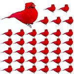 36 Pcs Red Cardinal with Clip on Ch