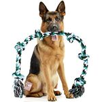 Chew Toy For German Shepherd