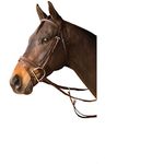 Exselle Event Plain Raised Bridle, Full, Brown