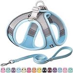 AIITLE Small Harness for Puppy with