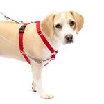 PetSafe Sure-Fit Harness, Adjustable Dog Harness from the Makers of the Easy Walk Harness, RED, MEDIUM