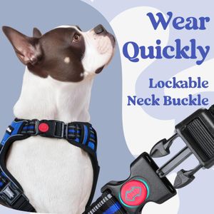 rabbitgoo Medium Dog Harness – No Pull, Adjustable, Reflective, Blue