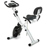 Lanos Folding Exercise Bike, 2 In 1 Workout Bike with 10 Levels of Magnetic Resistance