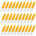 BigOtters 24PCS Corn Holders, Large Size Stainless Steel Corn Holder with Storage Box Twin Prong Sweetcorn Holder Corn on The Cob Skewers Fruit Fork for Kitchen Tool Outdoor Home BBQ Cooking