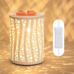 PALANCHY Electric Wax Melt Warmer with Timer 2/4/8 Hour, Ceramic Wax Warmer