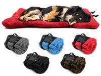 Outdoor Dog Gear