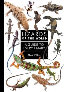 Lizards of