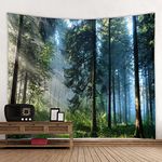 BOYOUTH Tapestry Wall Hanging,Sunlight Through the Misty Forest Photos Digital Print Wall Tapestry Art Home Decor for Living Room Bedroom Dorm,90.5" Wide By 70.8" High