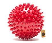 The Dogs Company The Pets Company Natural Rubber Spiked Ball Dog Chew Toy, Puppy Teething Toy, 3 Inches