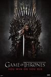 Game of Thrones You Win or Y Wall Poster