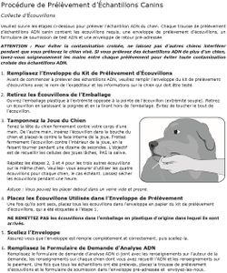 AffinityDNA Dog Paternity Test Kit – Accurate Canine DNA Testing