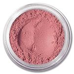 ASC Minerals Foundation Loose Powde