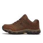 Peter Storm Women’s Lindale Walking Shoe with High Traction Rubber Sole for All Seasons, Durable Leather Upper (Brown, UK Footwear Size System, Adult, Women, Numeric, Medium, 6)