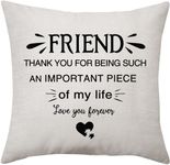 VAVSU Thank You for Being Such An Important Piece of My Life Love You Forever Throw Pillow Cover Cushion Cover for Friend Best Friend Birthday Gift Friendship Gift (FRIEND-2)