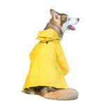 Dog Raincoats