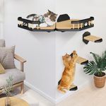 Set of 5 Cat Climbing Shelves Wall Mount with Blackboard, Cat Wall Steps Shelves, Cat Wall Shelves with Scratching Pad, Cat Wall Furniture for Cat Sleep Climb Play(Black)