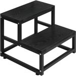 2 Step Step Stool For Adults