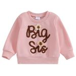 PanLidapan Kid Toddler Baby Girl Fall Spring Clothes Big Sister Sweatshirt Jumper Newborn Little Sister Romper (Big Sister, 12-18 Months)