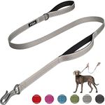 Fida 4 FT Heavy Duty Dog Leash with