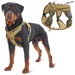 Qpets® Nylon Dog Harness, No-Pull Dog Strap Pet Safety Belt with Control Handle, Harness for Medium Dogs with Reflective Tape and 2 Connecting Rings (Army Yellow, L, 20-36kg)