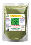 Diets Organics Keelanelli powder-100 G,Bhumyamalaki,Phyllanthus Niruri Powder, Keezanelli powder -100G pack of 1