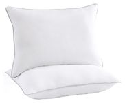 Casa Platino Pillows for Sleeping 2 Pack Standard Size Pillows for Side Back and Stomach Sleeper Neck Pain Fluffy Down Alternative Hotel Quality Pillows 20"x26"