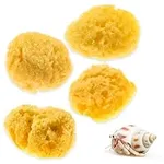 4-Pack of Natural Hermit Crab Sea Sponges - All Natural Sponge for Crabs - Assists Safer Drinking, Provides Nutrients, Balances Tank Humidity - by Evergreen Pet Supplies