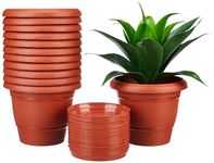 Amazon Brand - Solimo Round Pots for Plants with Bottom Tray | Lightweight | Indoor and Outdoor Flower Pot for Home/Office/Table/Garden/Balcony Decoration | 8 inch (Set of 12)