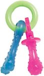 Nylabone Puppy Chew Teething Pacifi